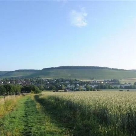 Landpension Wachtkopf Vaihingen an der Enz Esterno foto