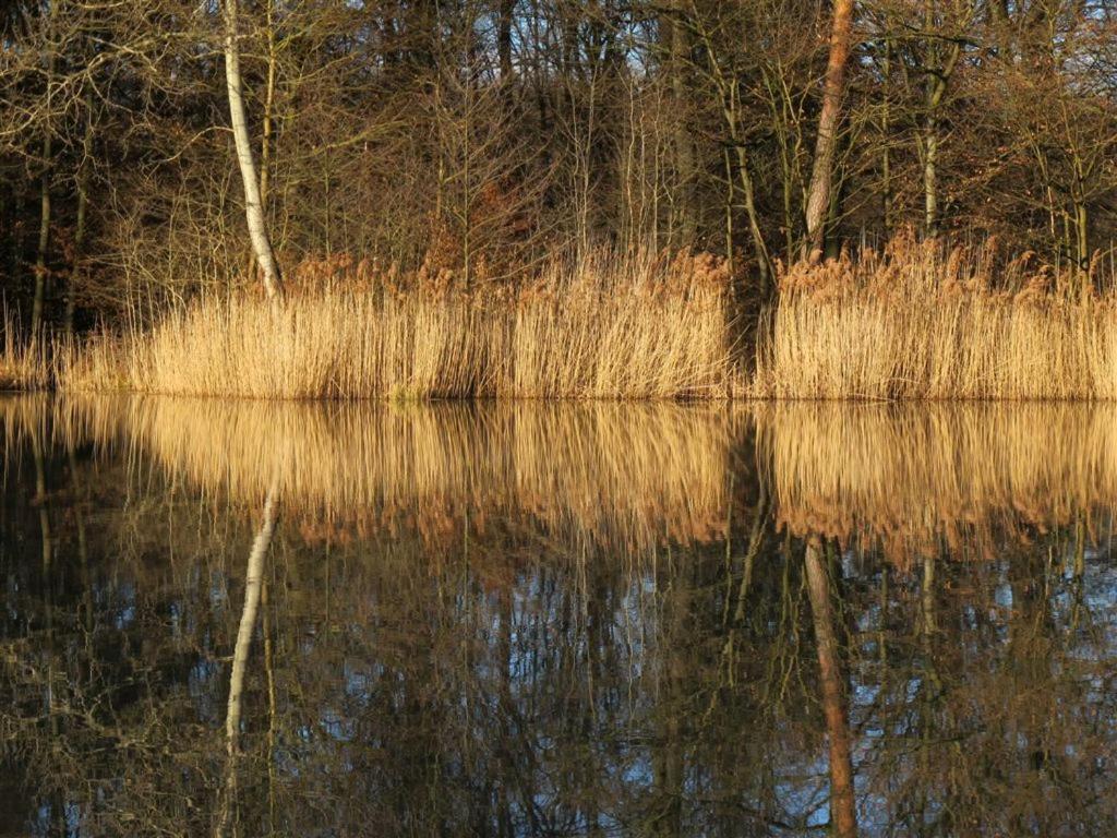 Landpension Wachtkopf Vaihingen an der Enz Esterno foto
